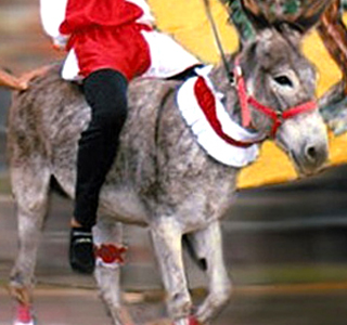 Palio dell'Asino Lissaro 2025