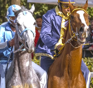 Palio delle Contrade Fucecchio 2026
