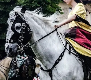 Palio delle Contrade Vigevano 2023