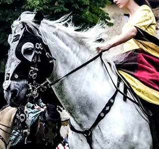 Palio delle Contrade Vigevano (PV) 2024