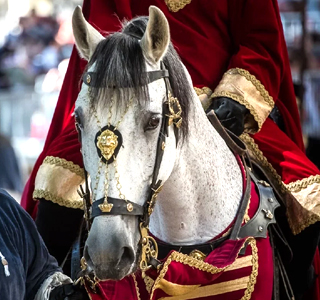 Palio di Asti Asti 2025
