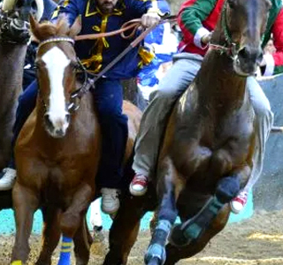 Palio di Ferrara 2025