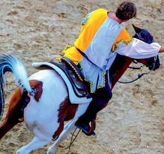 Palio di Ribusa Stilo 2025