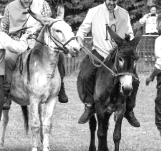 Palio di Romano d'Ezzelino 2026