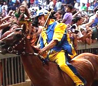 Palio di Siena 2024