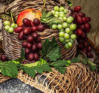 Parco Urbano delle Cantine di Rapolla Rapolla 2026