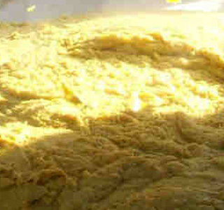 Polentarte Monteveneroso (PV) 2025