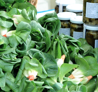 PrimaVera in Festa Roncade 2026