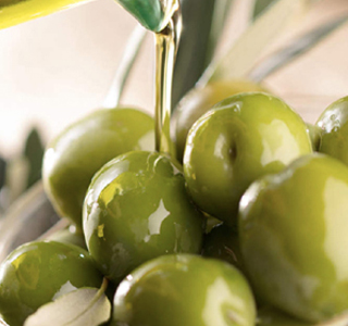 Primolio Primovino Camaiore 2025