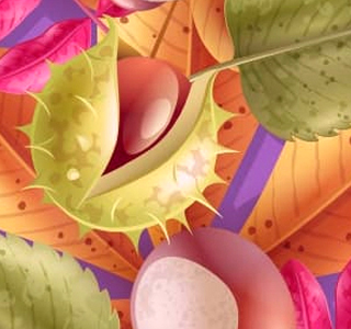 Quartstagnata Quart (AO) 2025