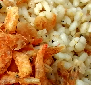 Sagra dal Saltarel De.C.O. Barbassolo 2025