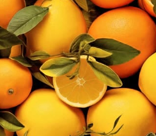 Sagra degli Agrumi Muravera (SU) 2024
