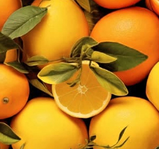 Sagra degli Agrumi Muravera 2026