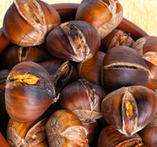 Sagra degli Antichi Sapori Calderara di Reno 2025