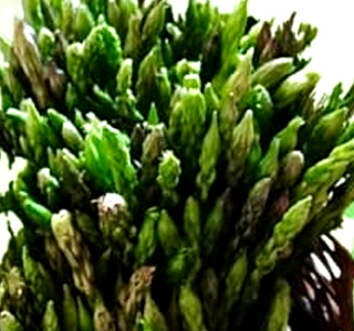 Sagra degli Asparagi e dei Finocchietti Selvatici Boroneddu 2026