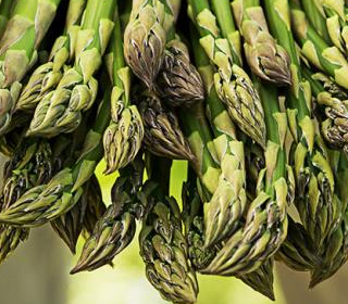 Sagra degli Asparagi Vicovaro (RM) 2024