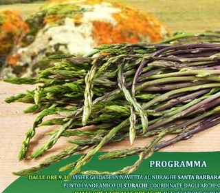 Sagra degli Asparagi Villanova Truschedu 2023