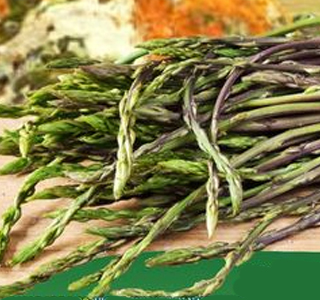 Sagra degli Asparagi Villanova Truschedu 2026