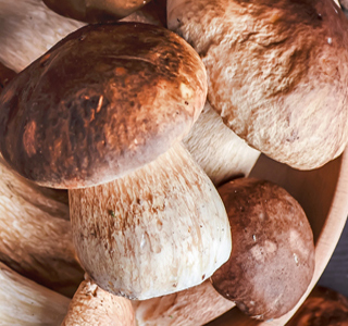 Sagra dei Funghi Bema 2026