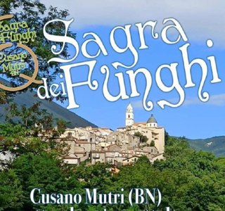 Sagra dei Funghi Cusano Mutri (BN) 2024