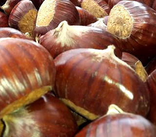 Sagra dei Marroni Rocca Massima 2023