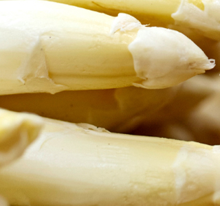 Sagra dei Sparasi Mambrotta 2026