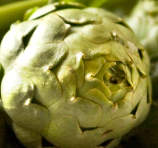 Sagra del Carciofo Bianco di Pertosa 2026