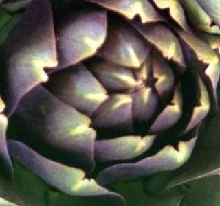 Sagra del Carciofo Masainas 2026