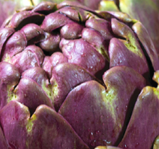 Sagra del Carciofo Sezze 2026