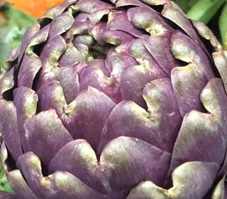 Sagra del Carciofo Violetto di Niscemi 2023