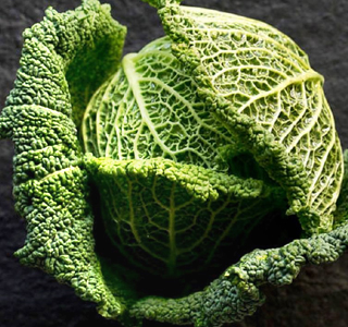 Sagra del Cavolo Verza Montalto Dora 2025