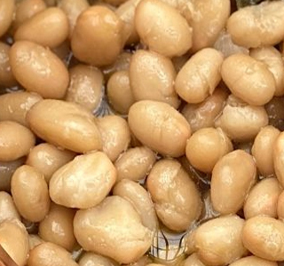 Sagra del Fagiolo Zolfino Terranuova Bracciolini 2026