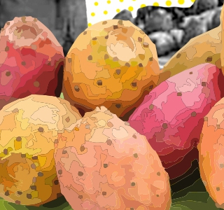 Sagra del Ficodindia dell'Etna DOP Belpasso 2025