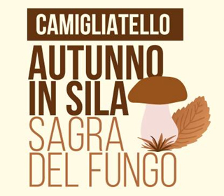 Sagra del Fungo & Autunno in Sila Camigliatello Silano 2023