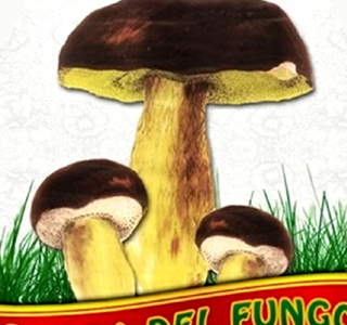 Sagra del Fungo e dei Prodotti Tipici Pianello di Perugia 2025