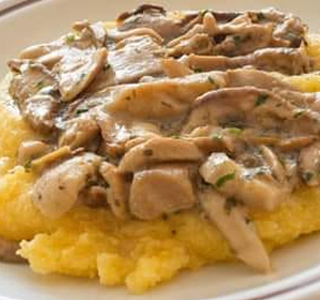 Sagra del Fungo Porcino con Polenta Massa Macinaia 2025