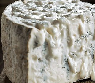 Sagra del Gorgonzola DOP Cavallermaggiore 2023