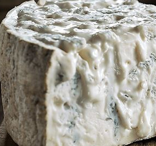 Sagra del Gorgonzola DOP Cavallermaggiore 2026