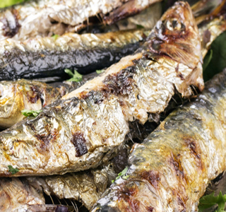 Sagra del Pesce Catania 2025