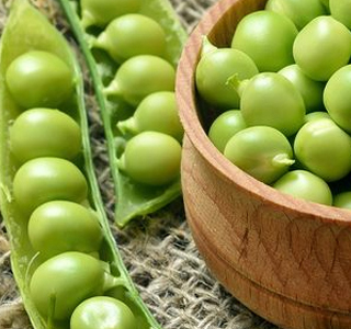 Sagra del Pisello Roncofreddo 2026