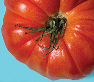 Sagra del Pomodoro Borgoricco (PD) 2023