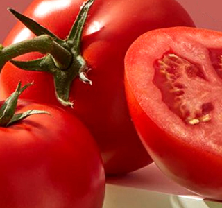 Sagra del Pomodoro Borgoricco 2026