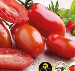 Sagra del Pomodoro San Marzano DOP Striano 2026