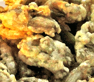 Sagra del Ranocchio Brozzi (FI) 2024