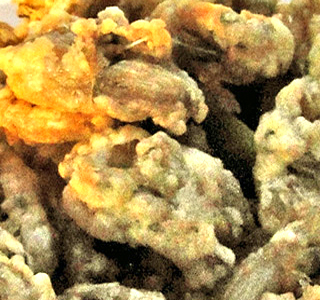 Sagra del Ranocchio Brozzi 2025