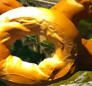 Sagra del Tarallo Gravina in Puglia 2025