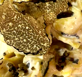 Sagra del Tartufo Castel del Rio 2025