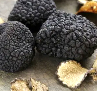 Sagra del Tartufo Chiusi della Verna 2026