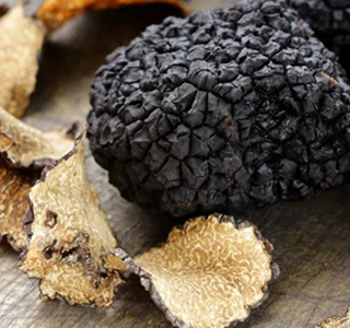 Sagra del Tartufo Ripa di Perugia 2025