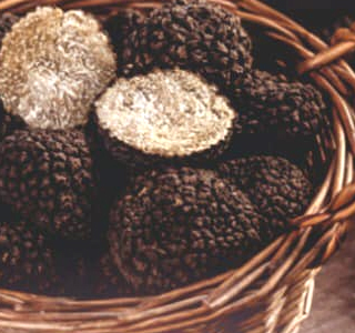Sagra del Tartufo San Martino di Petrella Salto 2025